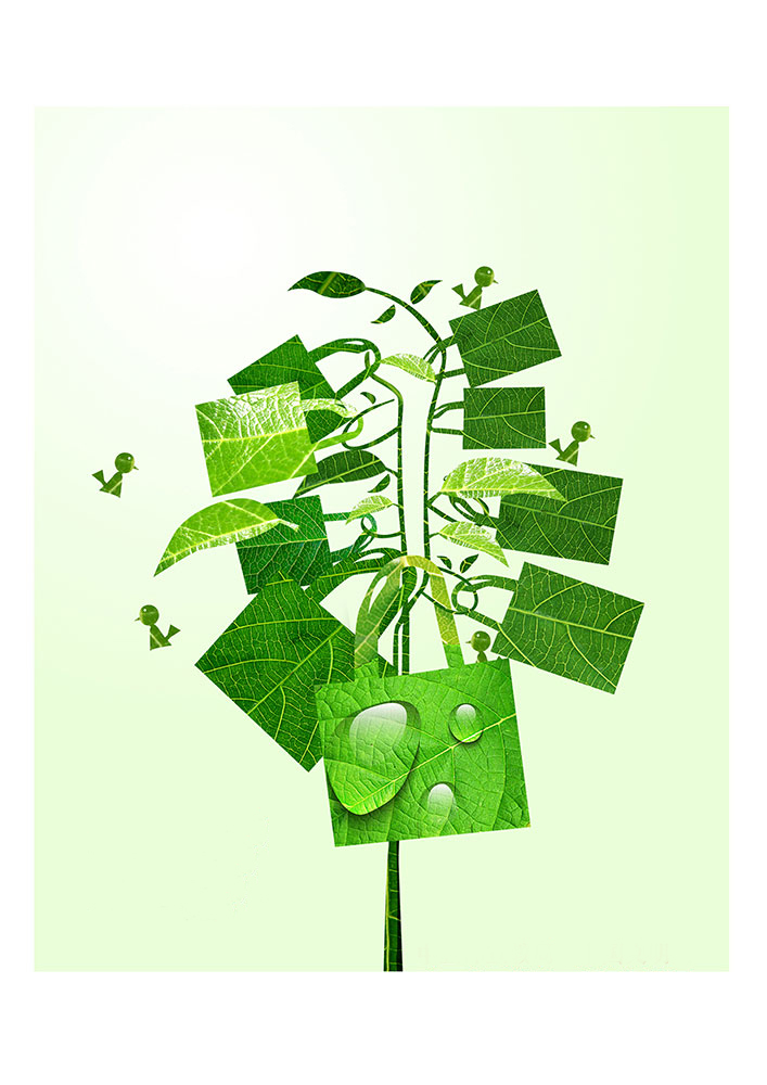 一花一世界，一個(gè)環(huán)保袋一抹綠